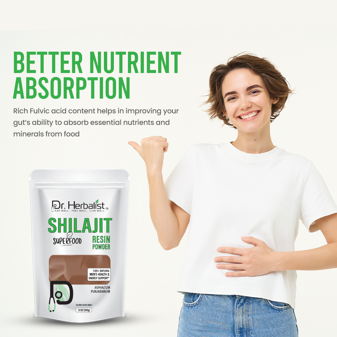 DR. HERBALIST Shilajit Powder 200g
