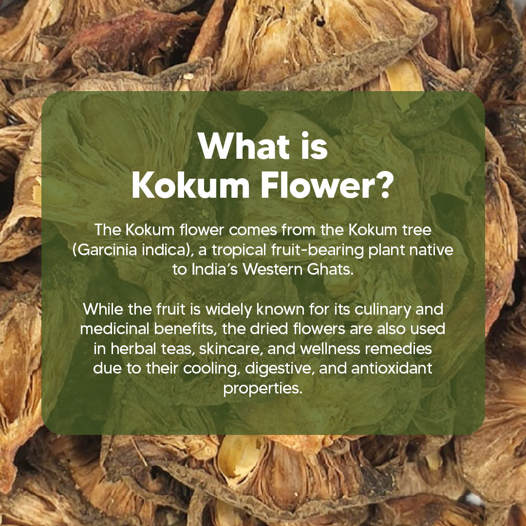 Dr Herbalist Kokum Flower 100g | Natural Herbal Remedy | Rich in Antioxidants | Supports Digestion, Skin Health & Overall Wellness | 100% Pure & Natural