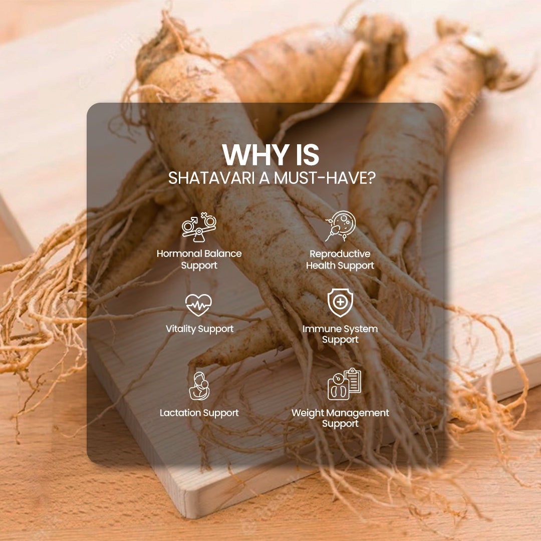 DR. HERBALIST Shatavari Powder 200g