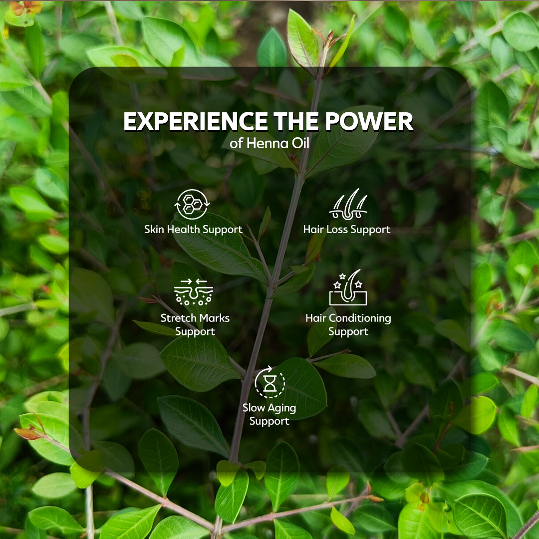 HEMANI Henna Oil 30mL