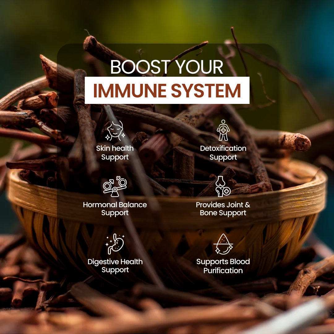 DR. HERBALIST Manjishta Powder 200g