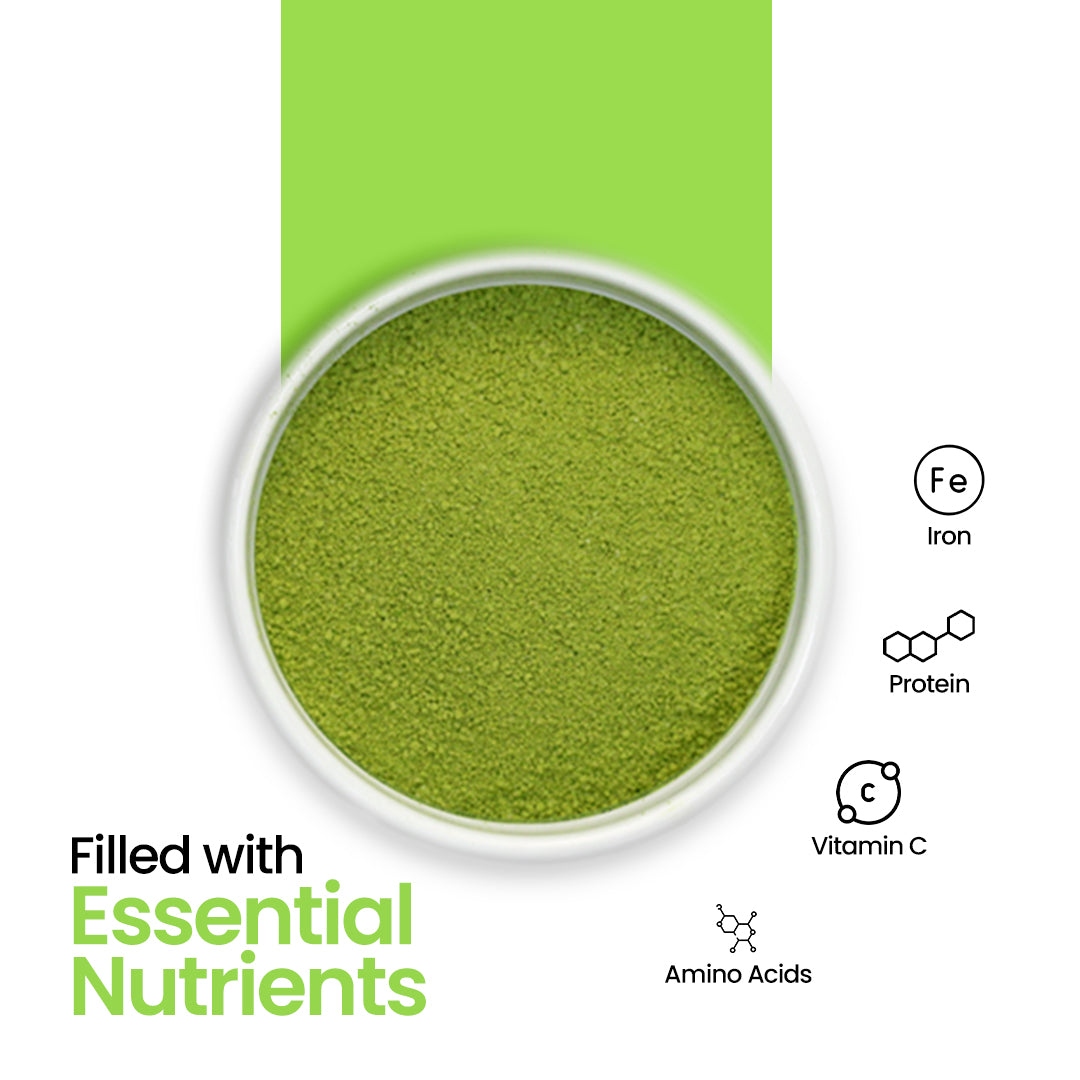 DR. HERBALIST Moringa Powder 200g