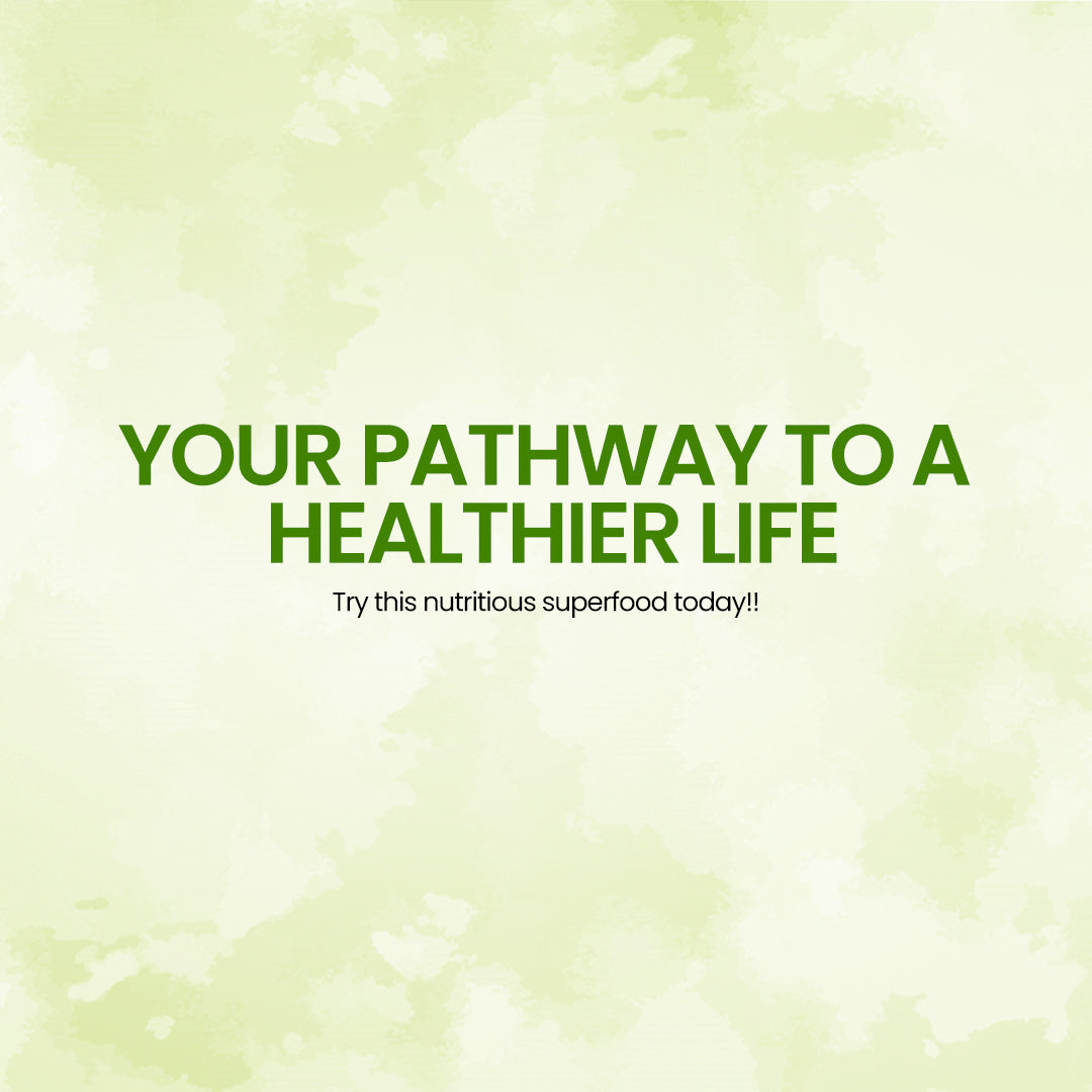 DR. HERBALIST Moringa Powder 200g