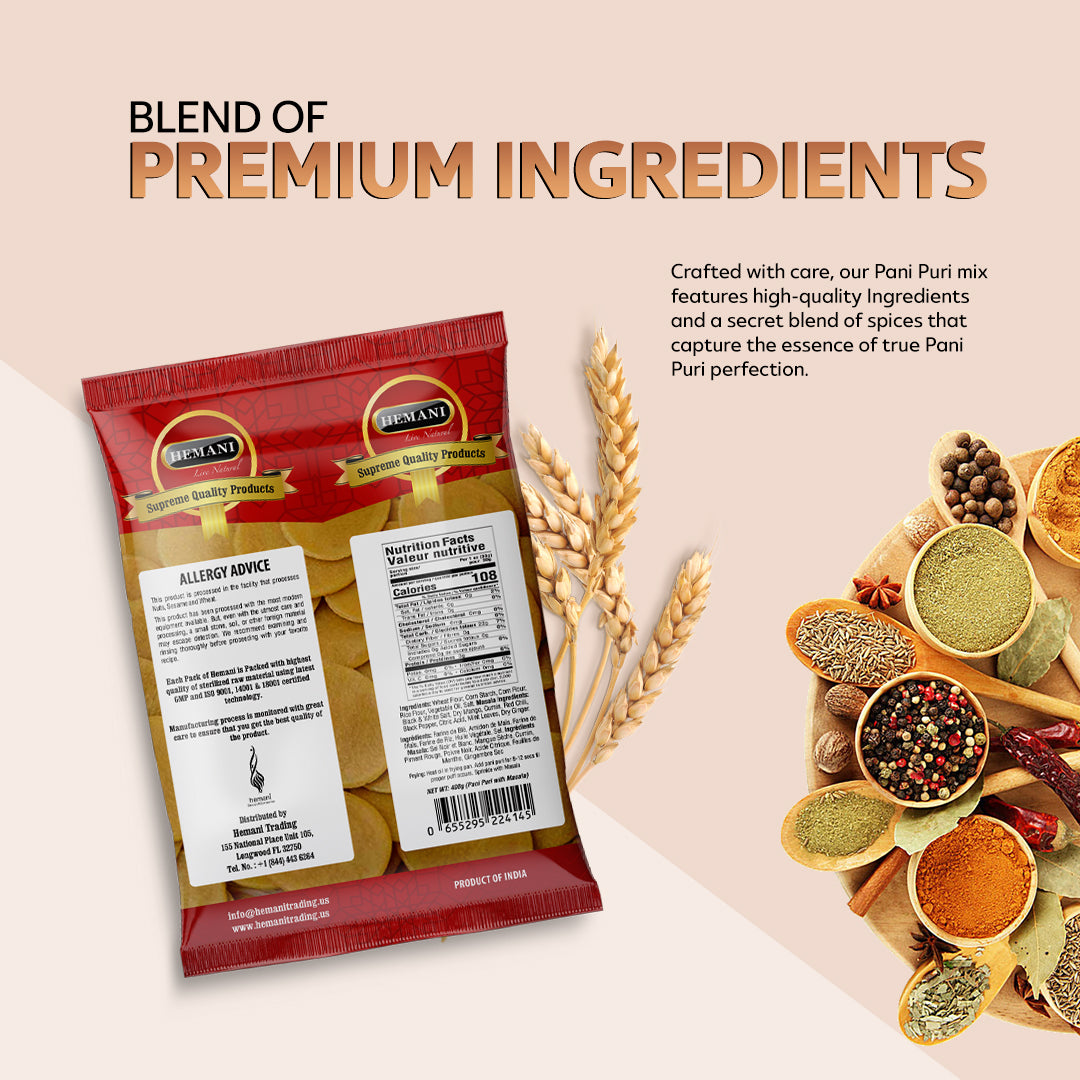 HEMANI Pani Puri Coins with Masala 400g