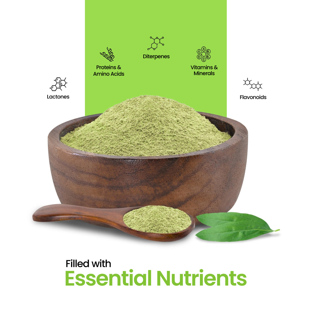 Dr. HERBALIST Kalmegh Powder 200g - Pure Andrographis Paniculata 'King of Bitters' | Supports Immune Wellness & Respiratory Comfort* | Extreme Bitter Warning | Halal, Vegan