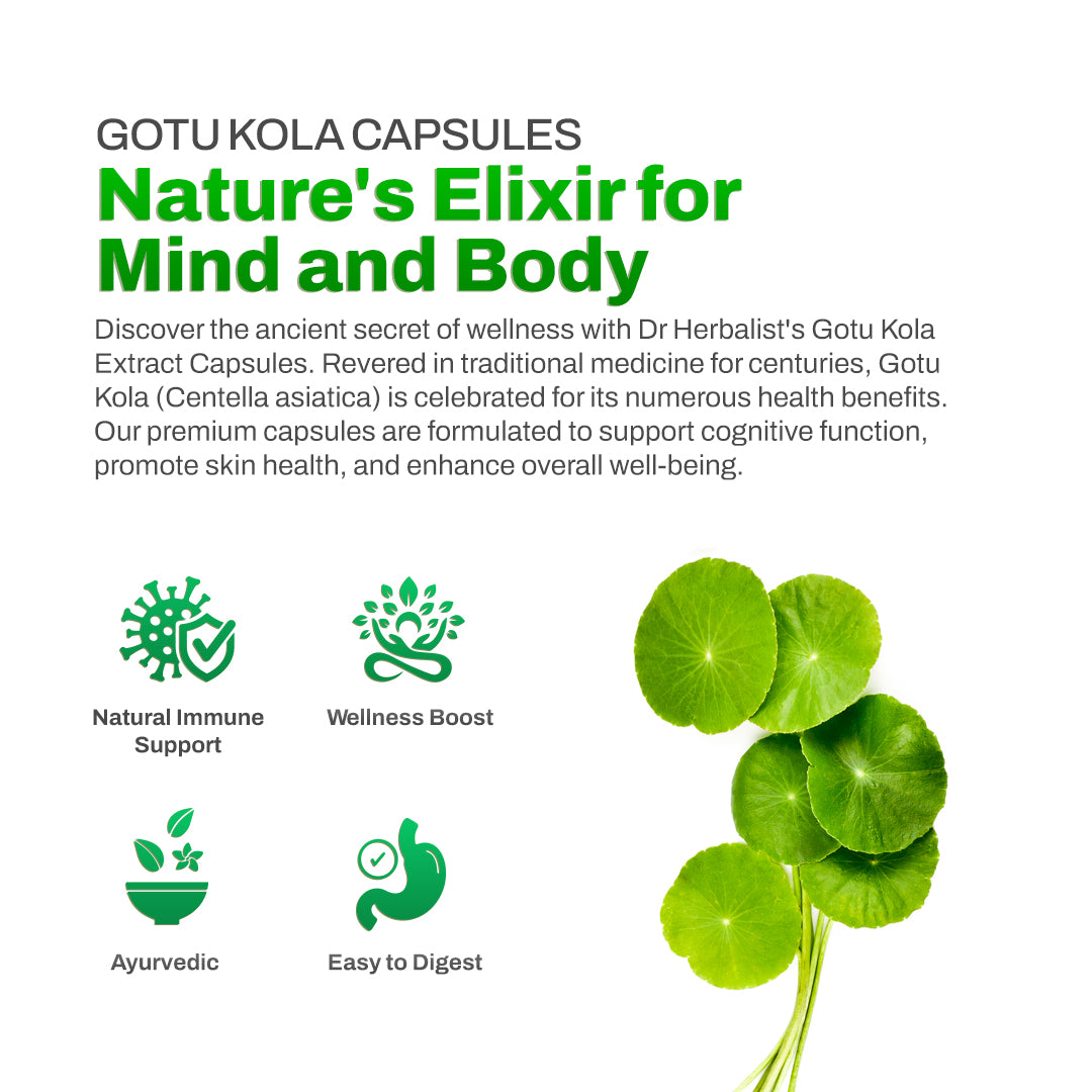 Dr Herbalist Gotu Kola Extract | Natural Brain & Memory Booster | Supports Focus, Mental Clarity & Circulation | Herbal Supplement for Stress Relief & Wellness