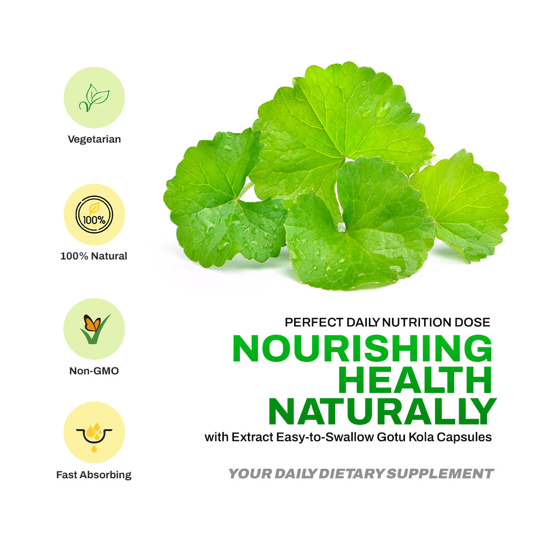 Dr Herbalist Gotu Kola Extract | Natural Brain & Memory Booster | Supports Focus, Mental Clarity & Circulation | Herbal Supplement for Stress Relief & Wellness