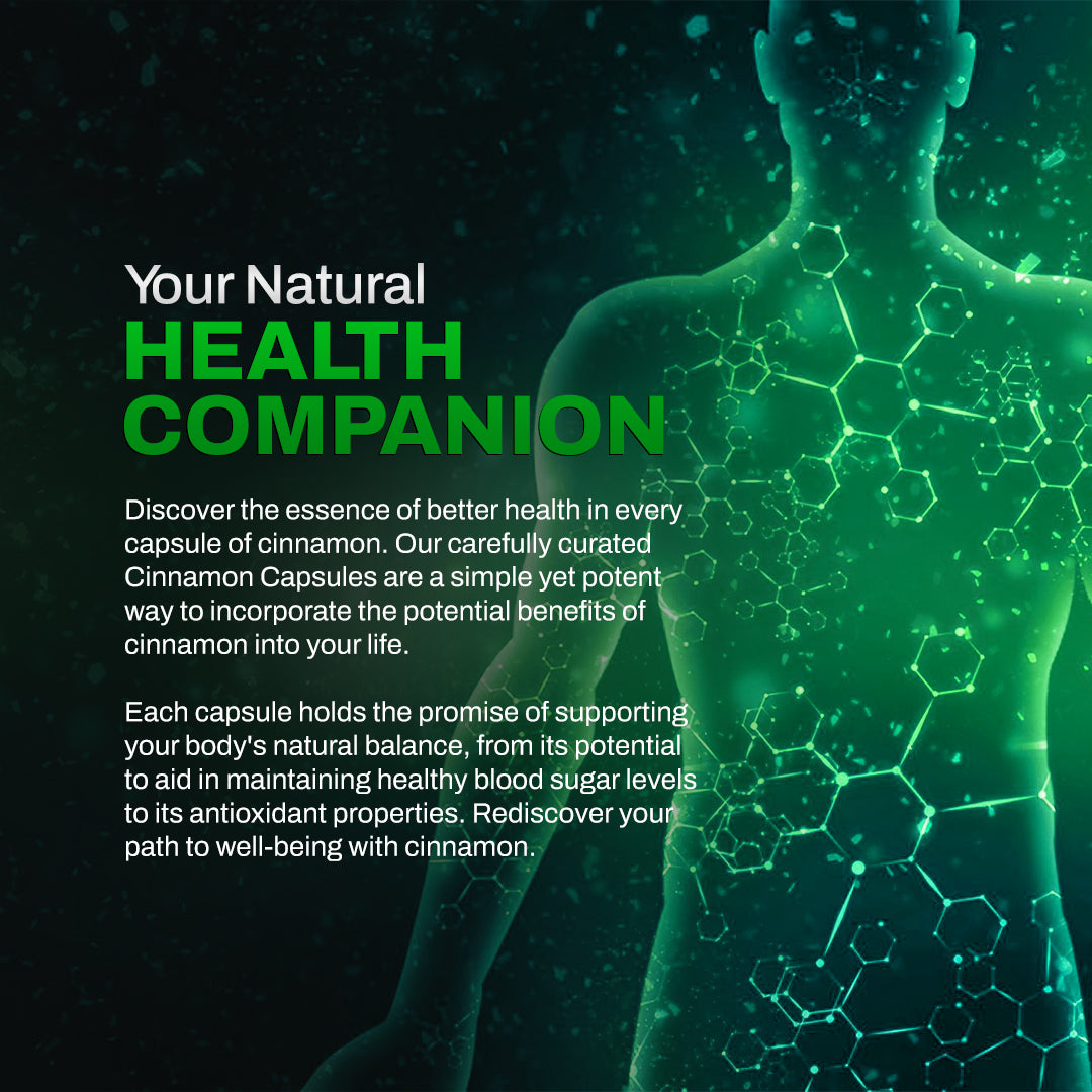 Dr Herbalist Cinnamon Extract 60 Capsules | Natural Blood Sugar Support | Boosts Metabolism, Heart Health & Immunity | Herbal Antioxidant Supplement