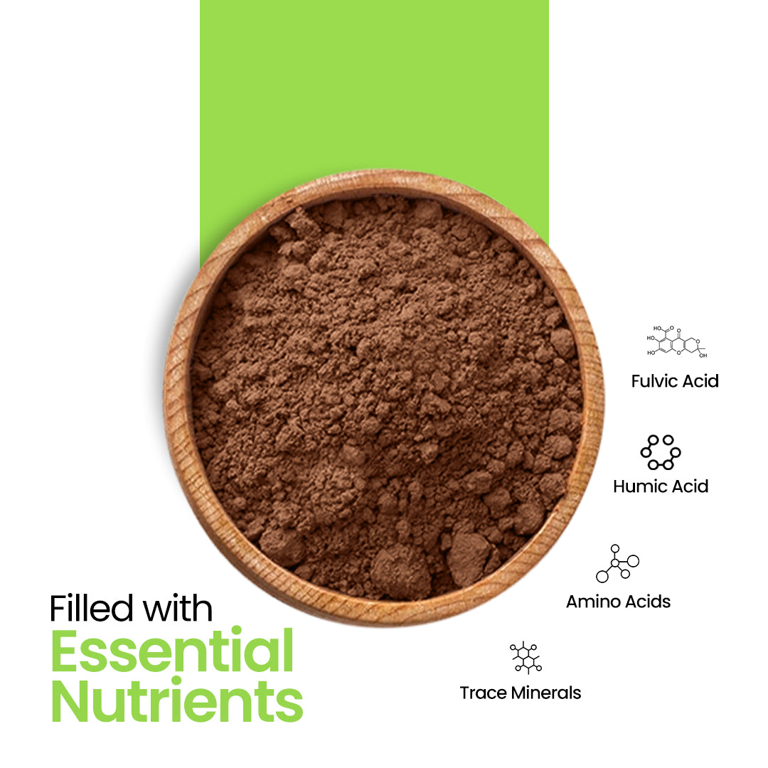 DR. HERBALIST Shilajit Powder 200g