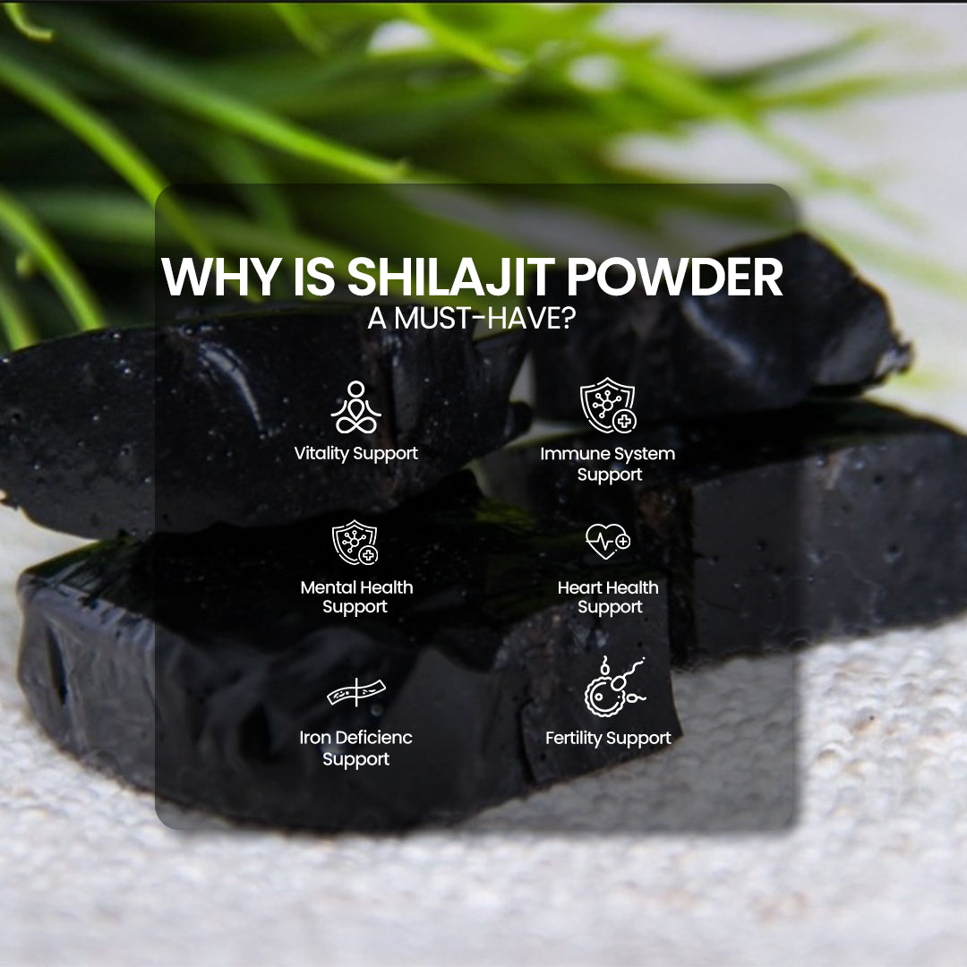 DR. HERBALIST Shilajit Powder 200g