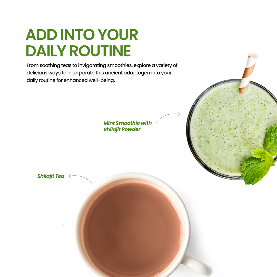 DR. HERBALIST Shilajit Powder 200g