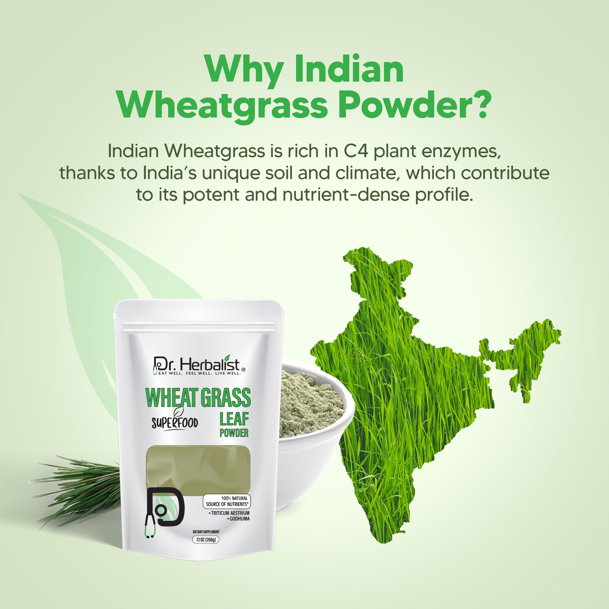 Dr. HERBALIST Wheatgrass Powder 200g - Pure Triticum Aestivum with Chlorophyll Iron & Vitamins A C E | Supports Daily Greens Detox & Nutrient Density* | Halal, Vegan