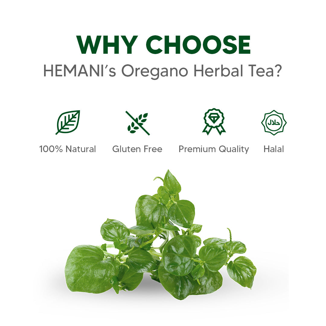 Hemani Oregano Herbal Tea (Origanum vulgare) - 20 Tea Bags | Natural Refreshment, Soothing & Immunity Boosting Brew | Promotes Relaxation & Wellness.