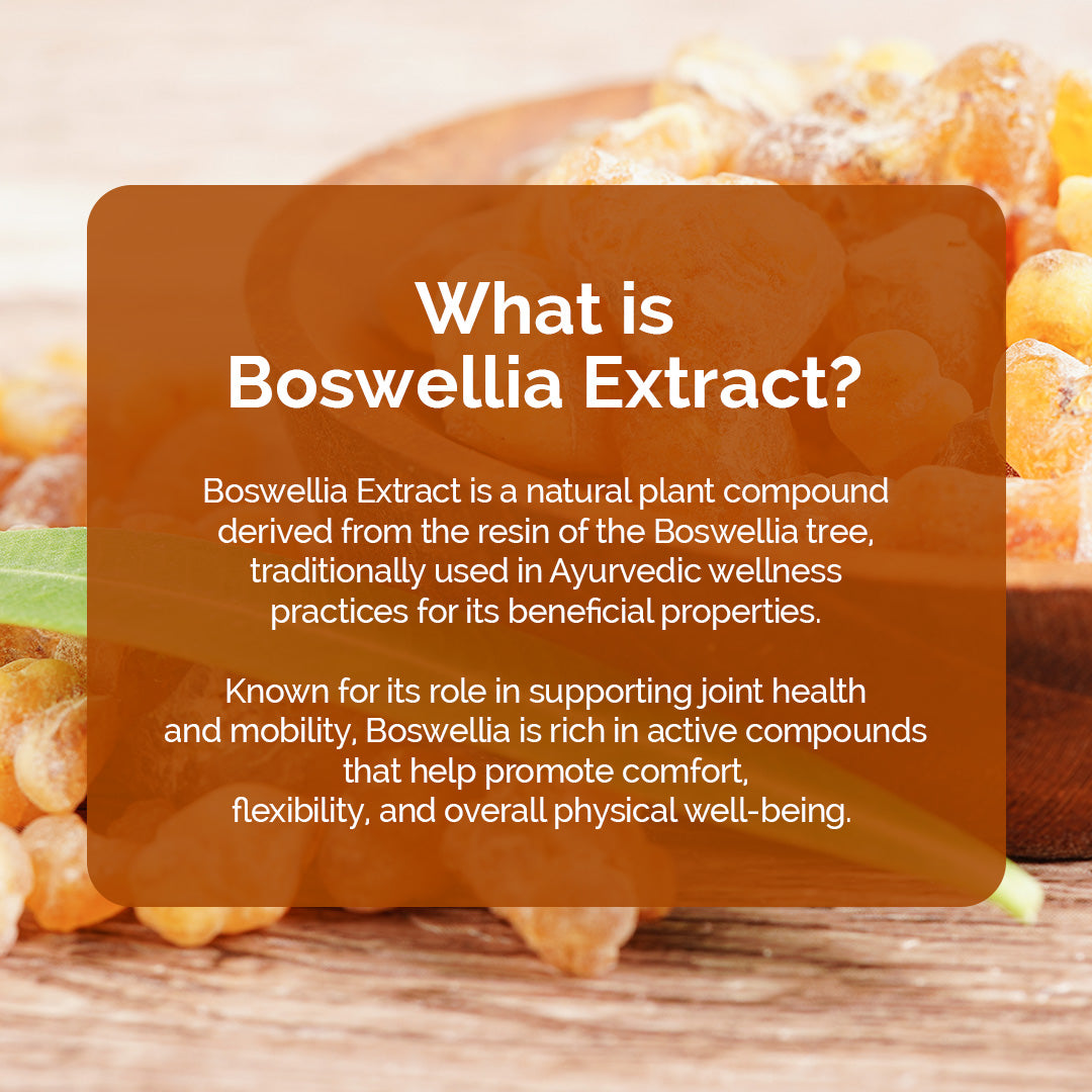 Dr. HERBALIST Boswellia Extract Capsules 500mg - Boswellia Serrata with Boswellic Acids | Supports Joint Comfort Mobility & Flexibility* | Halal, Vegan | 60ct