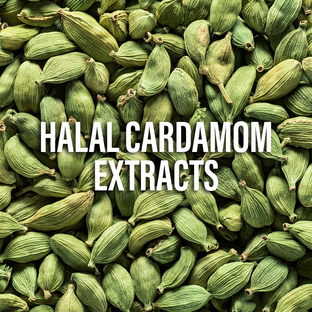 Hemani Cardamom Food Essence 25 ml - Halal, Natural, and Concentrated Cardamom Flavor for Indian Desserts, Drinks, and Recipes - Perfect for Gulab Jamun, Jalebi, and Barfi