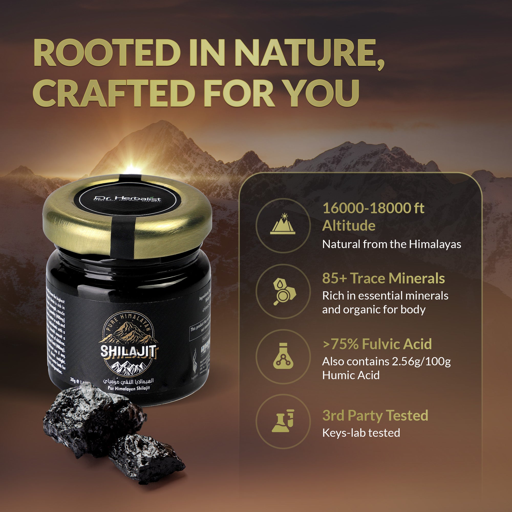 Dr. HERBALIST Pure Shilajit Resin 30g - Raw Himalayan Mineral Exudate with Fulvic Acid & 80+ Trace Minerals | Supports Energy Vitality & Stamina* | Traditional Purist Format | Halal, Vegan