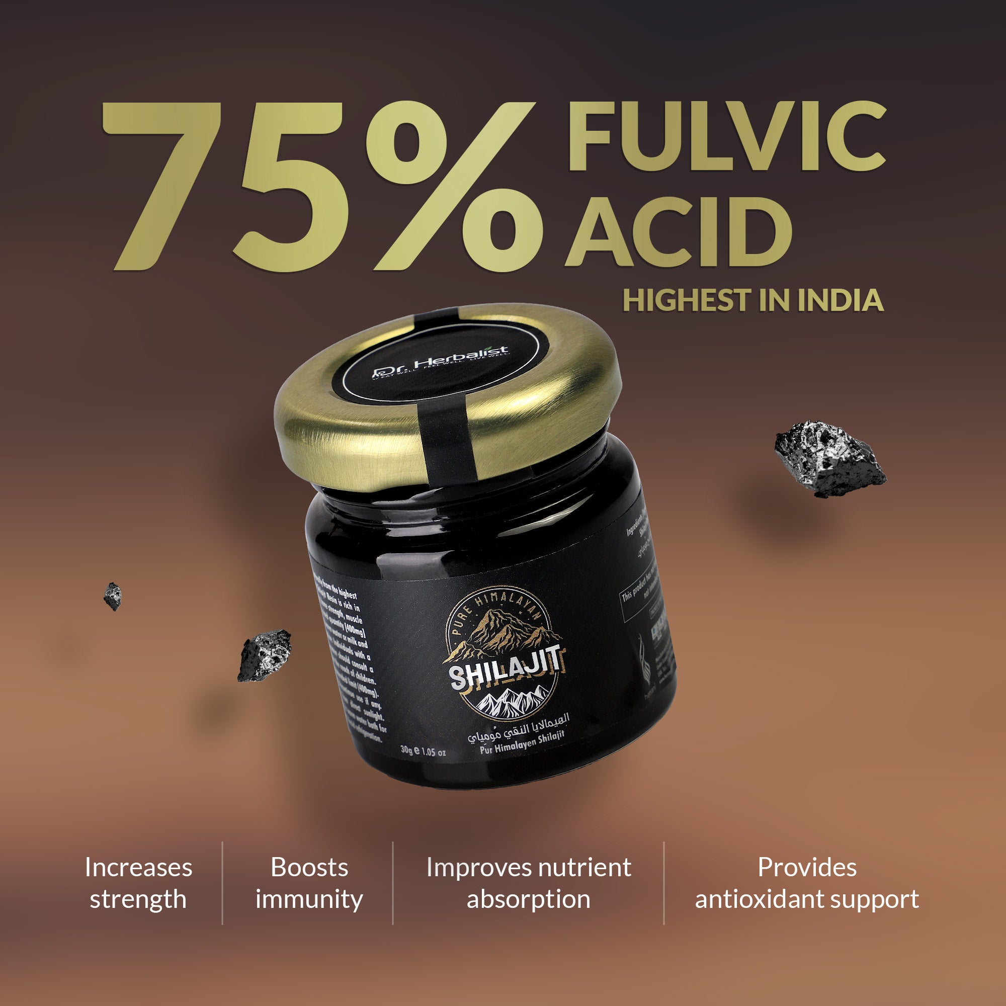 Dr. HERBALIST Pure Shilajit Resin 30g - Raw Himalayan Mineral Exudate with Fulvic Acid & 80+ Trace Minerals | Supports Energy Vitality & Stamina* | Traditional Purist Format | Halal, Vegan