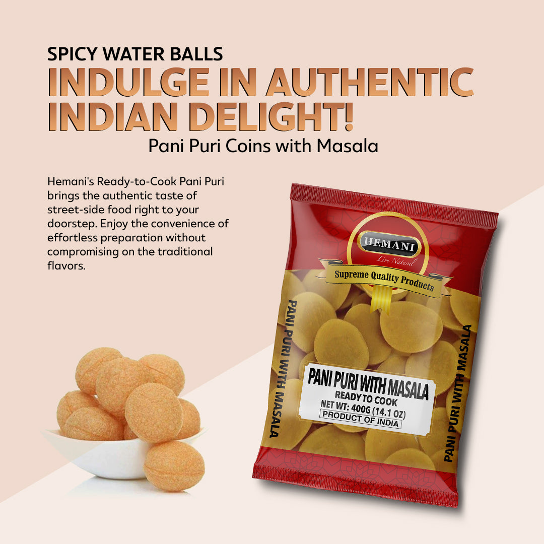 HEMANI Pani Puri Coins with Masala 400g