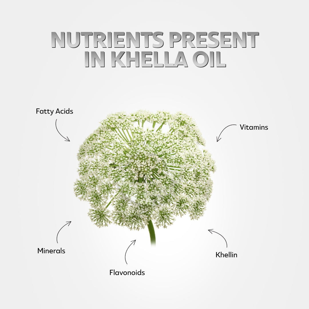 HEMANI Khella Oil 30mL