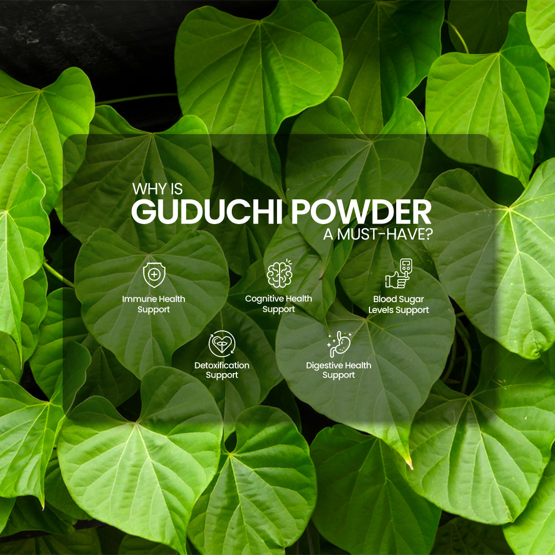 DR. HERBALIST Guduchi Powder 200g