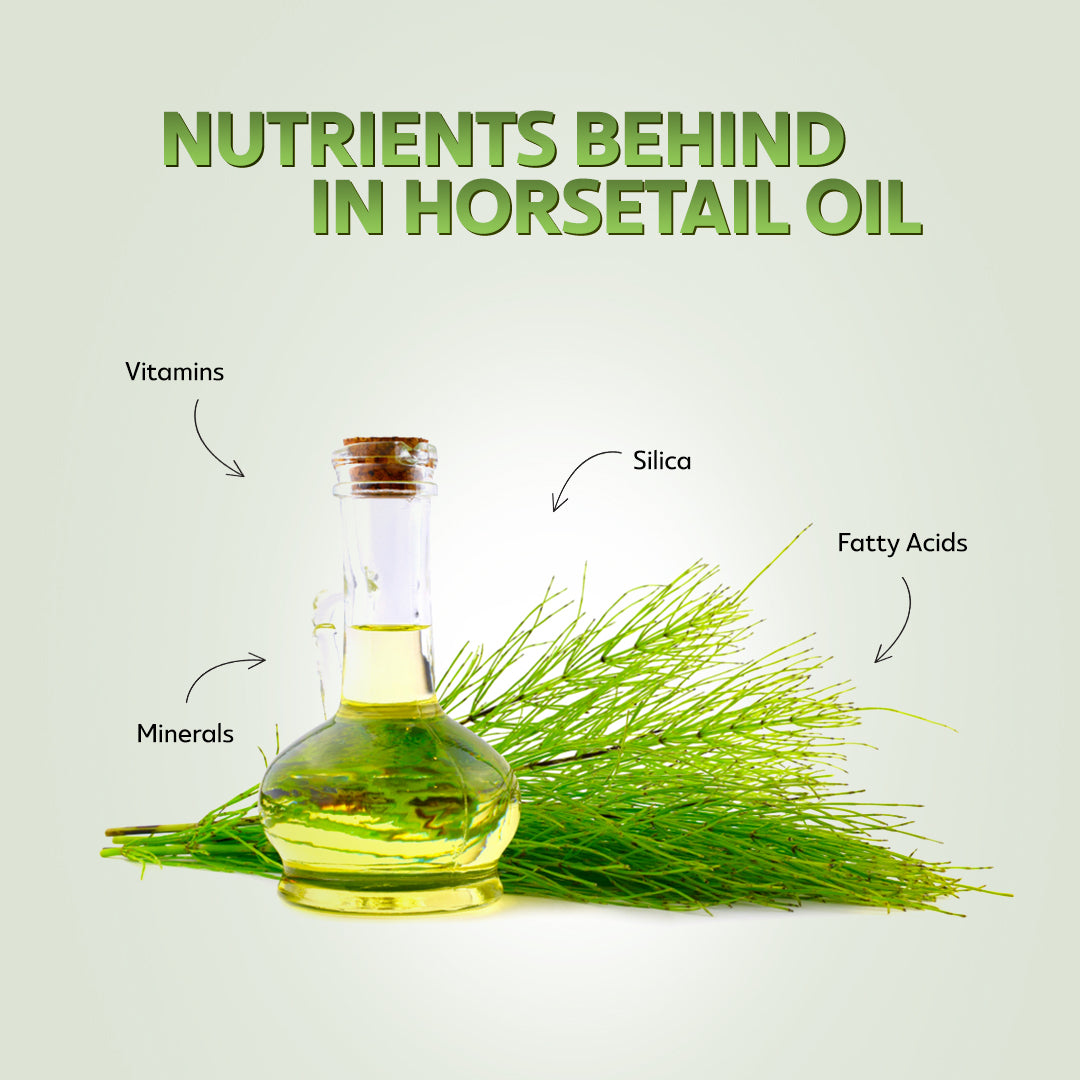 HEMANI Horsetail Oil 30mL