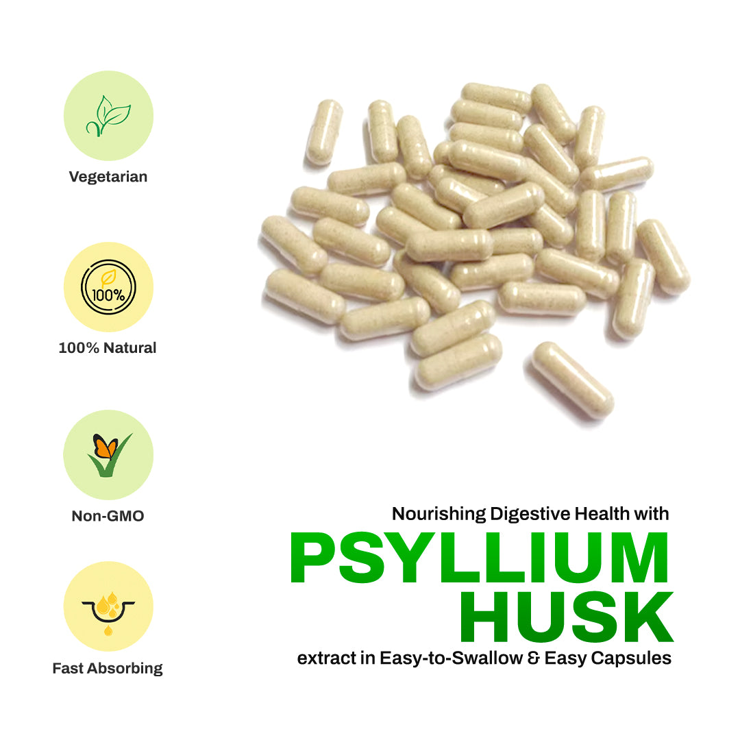 DR. HERBALIST Psyllium Husk Extract 500mg, 60 Vegetarian Capsules