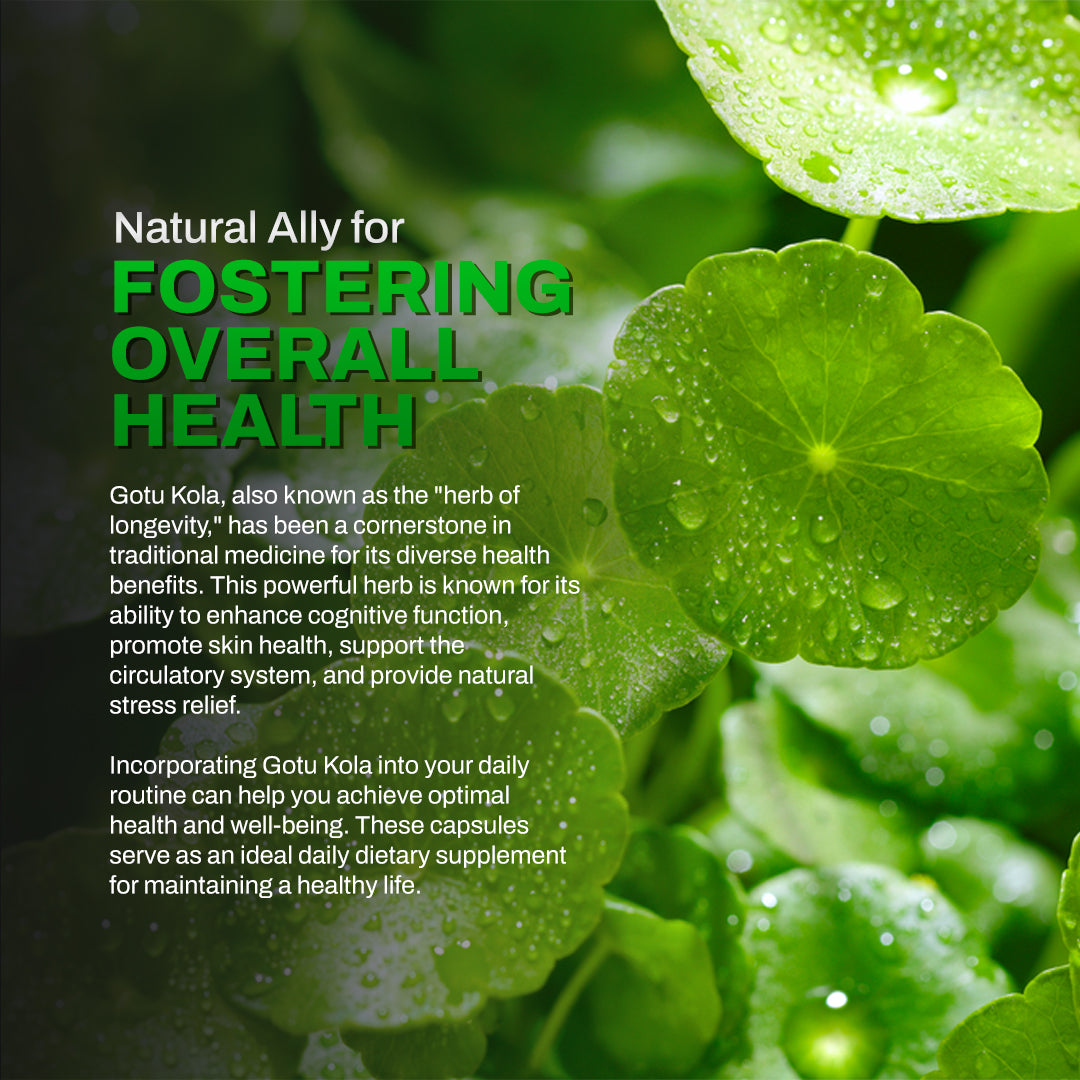 Dr Herbalist Gotu Kola Extract | Natural Brain & Memory Booster | Supports Focus, Mental Clarity & Circulation | Herbal Supplement for Stress Relief & Wellness