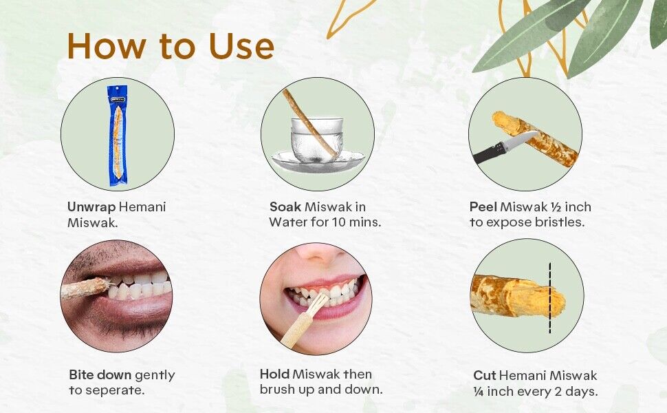 Miswak 6 Natural Toothbrush Sticks I Chewing Toothbrush I 8 inches each